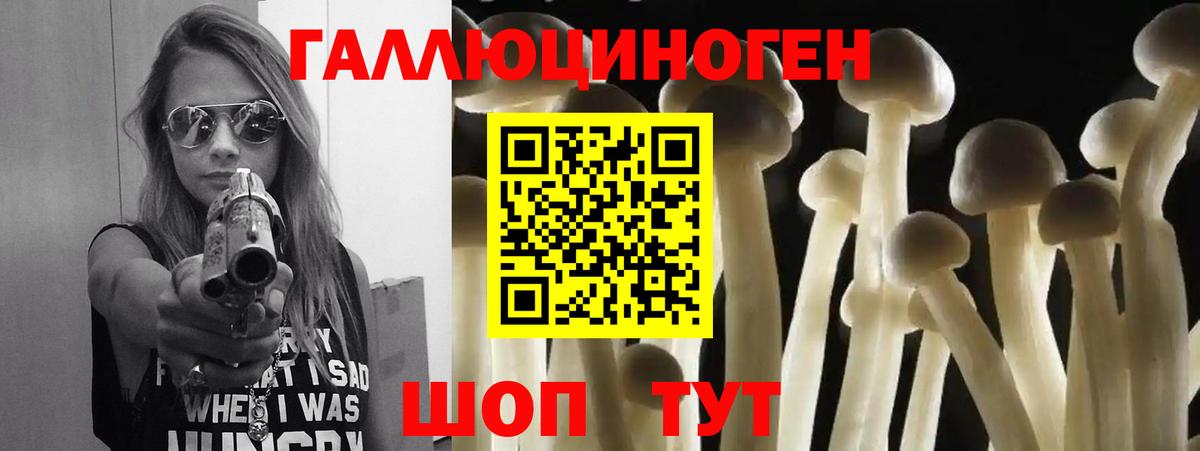 Подольск  Псилоцибиновые грибы GOLDEN TEACHER  Вход с VPN 